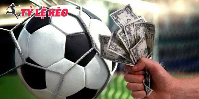 Kinh nghiệm soi kèo bóng đá hôm nay